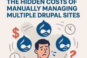 Man juggling lots of drupal websites